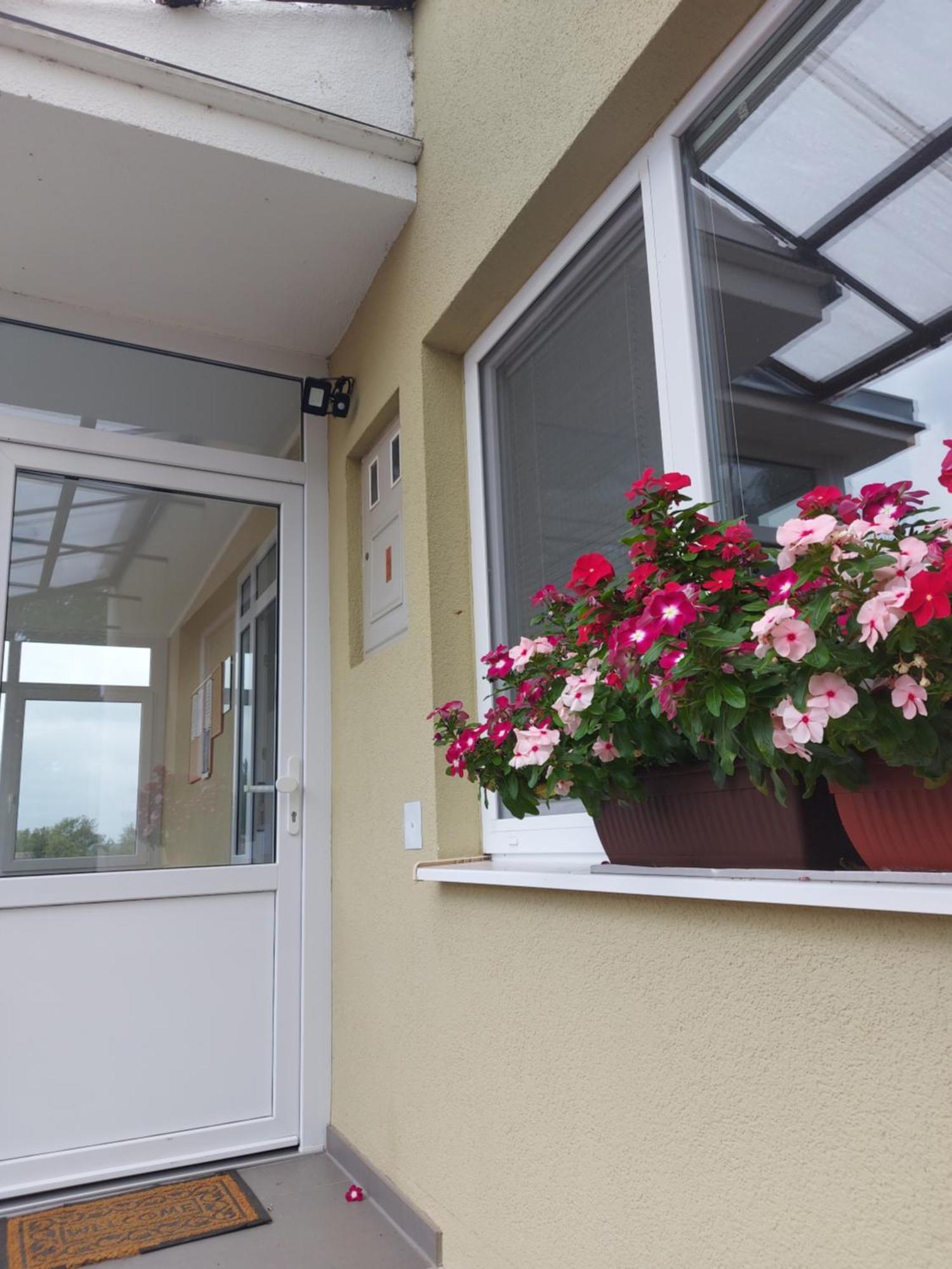 Apartman Kovac-Bilje Zimmer foto